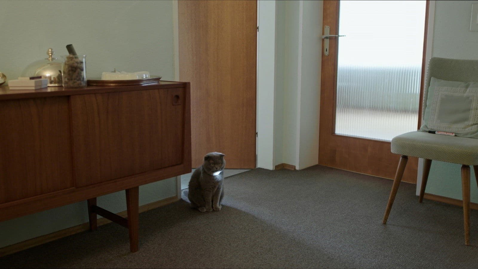 Nachts sind alle Katzen grau