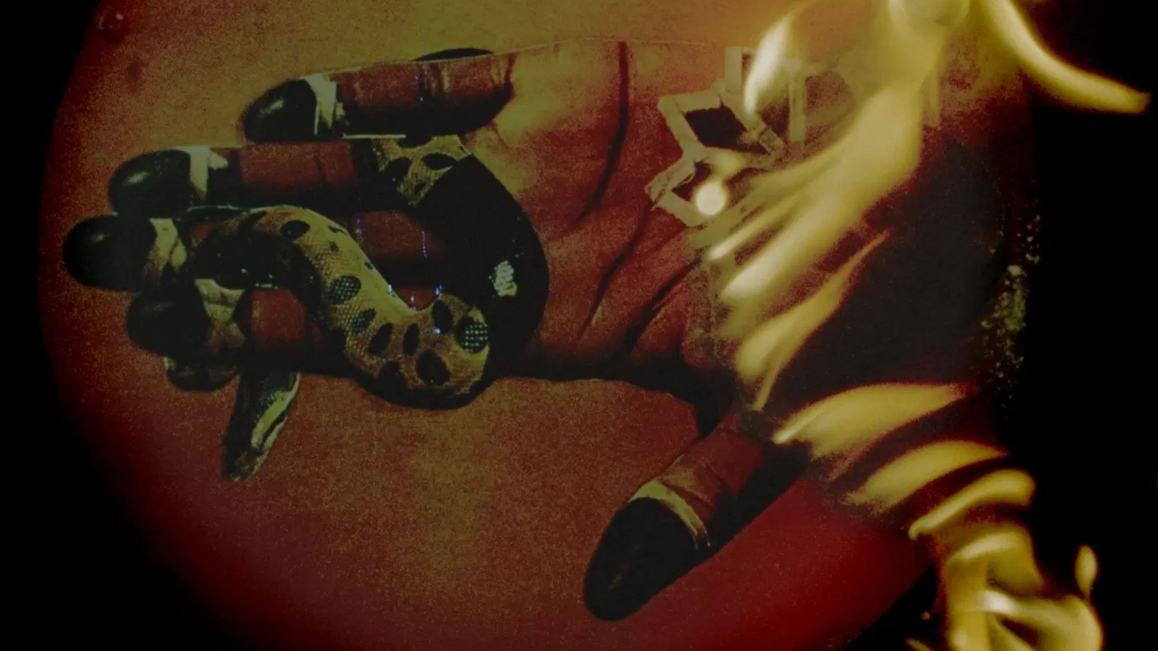 Memoria de un cuerpo desplazado