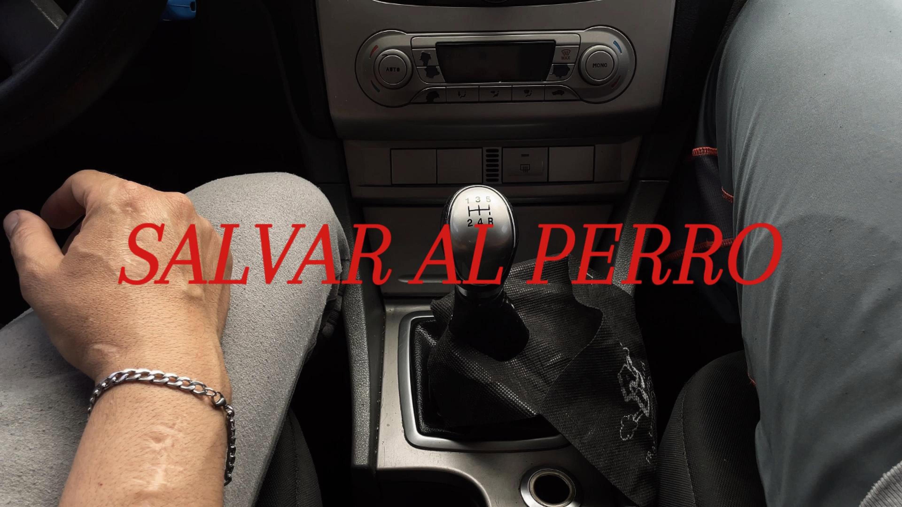 Salvar al Perro