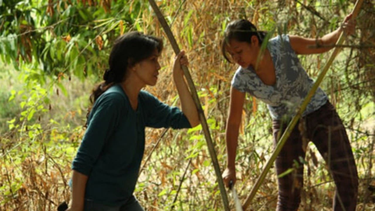 Ang Panggagahasa Kay Fe