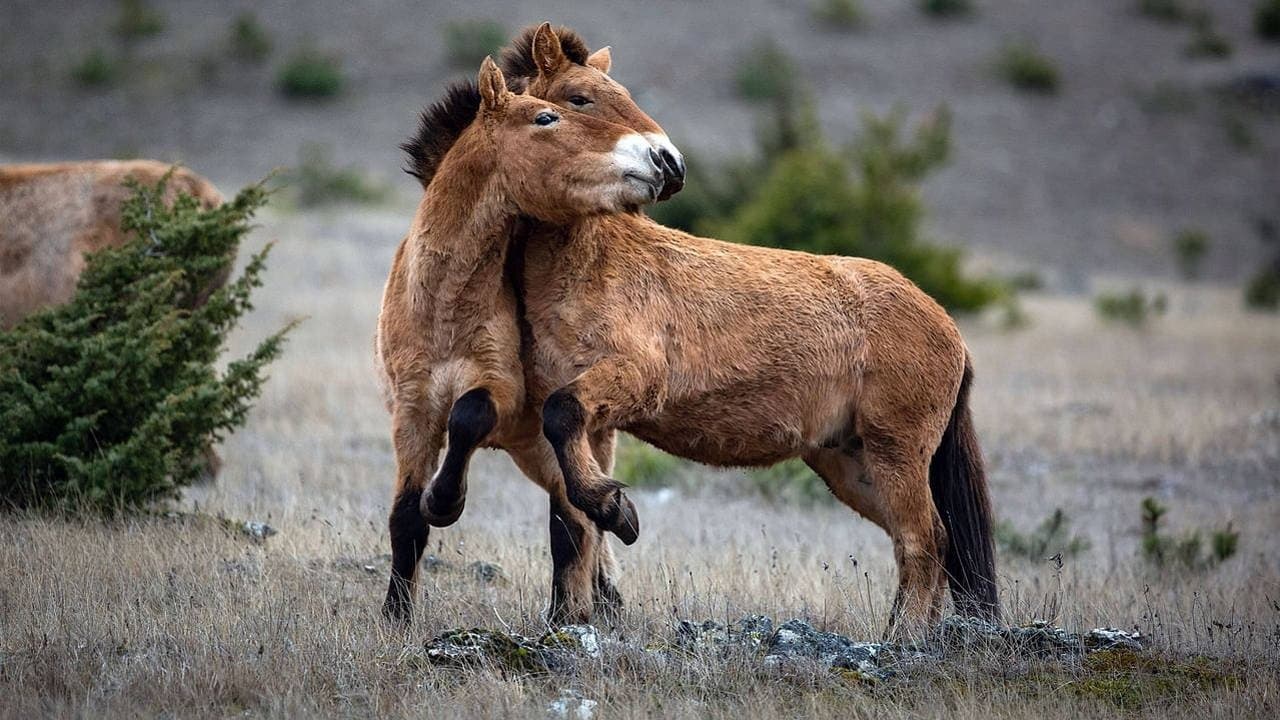 Vivant parmi les vivants