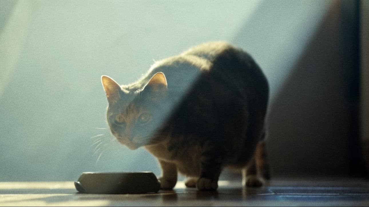 As Portas da Perceção