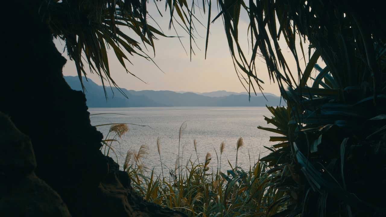 綠色牢籠