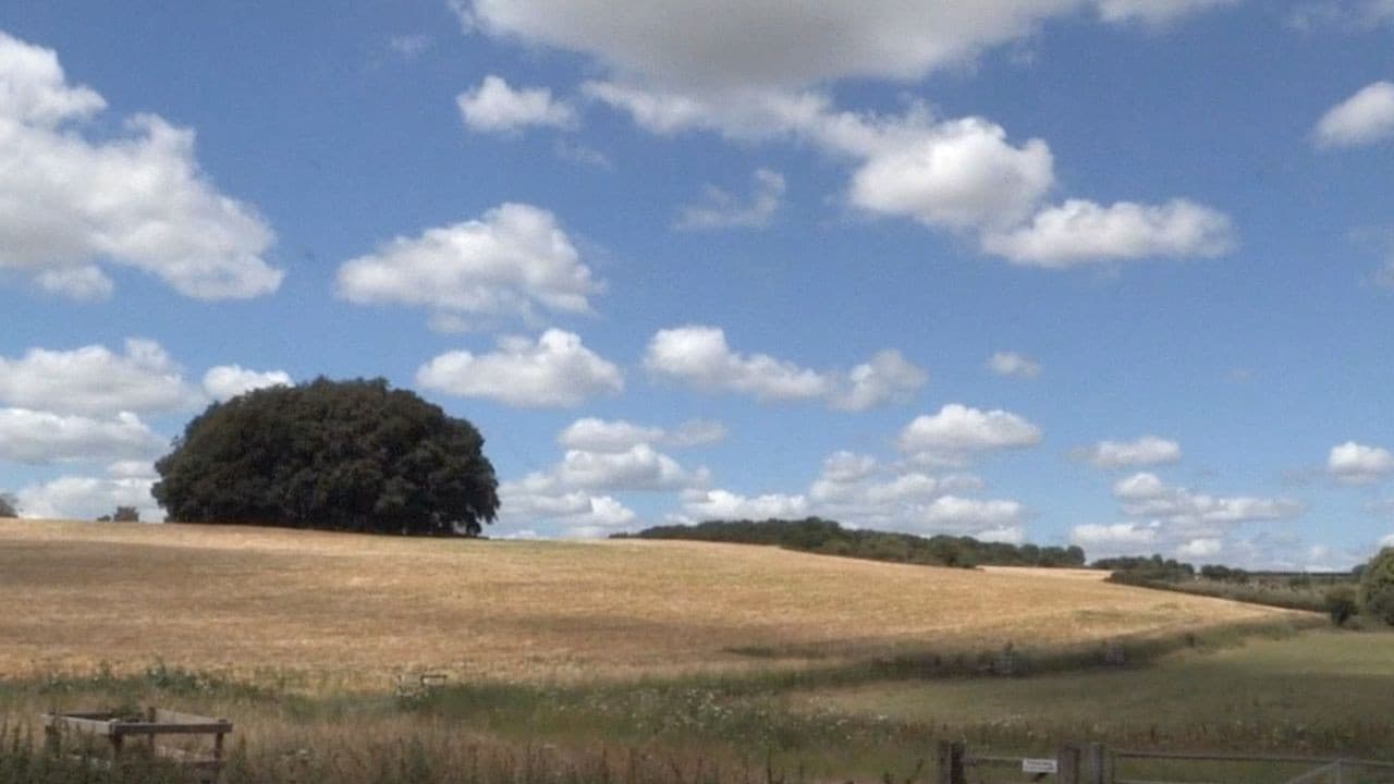 Seven Days To Sidmouth