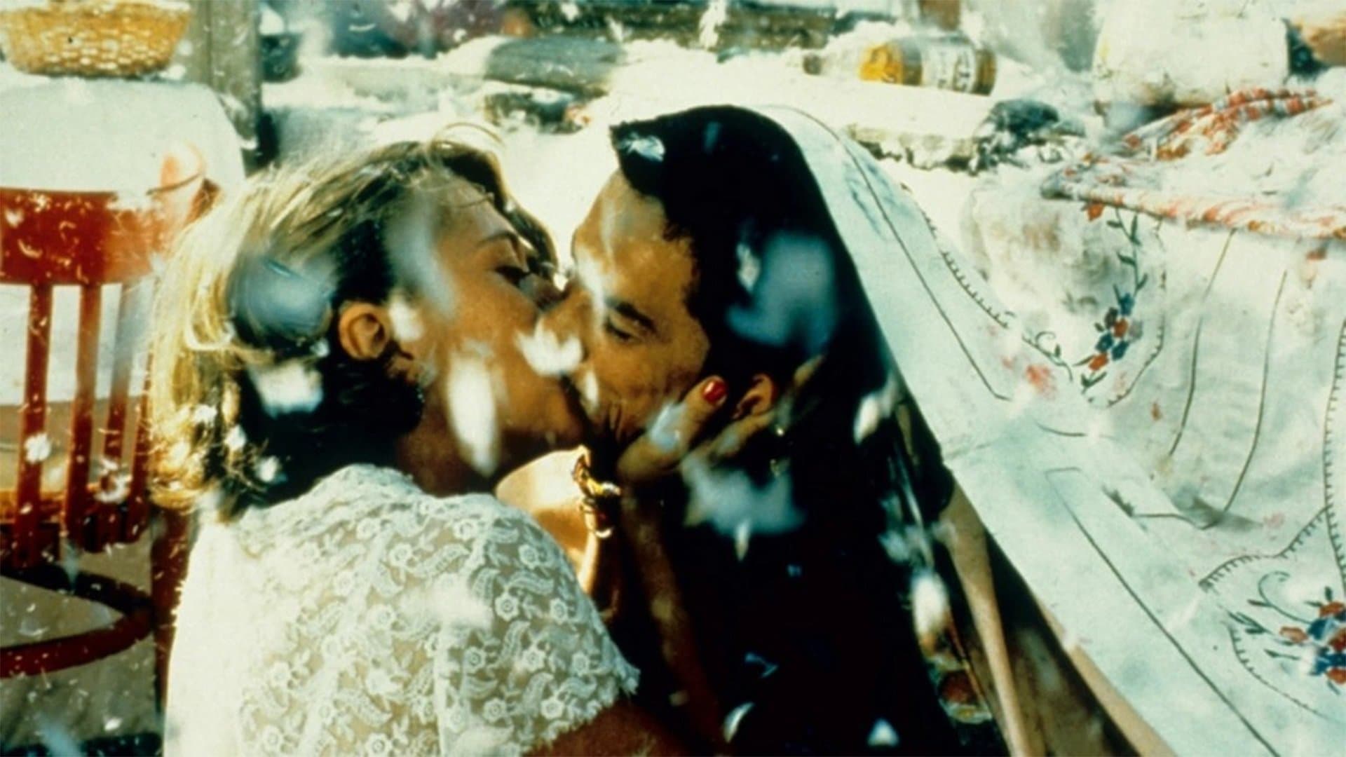 Crna mačka, beli mačor