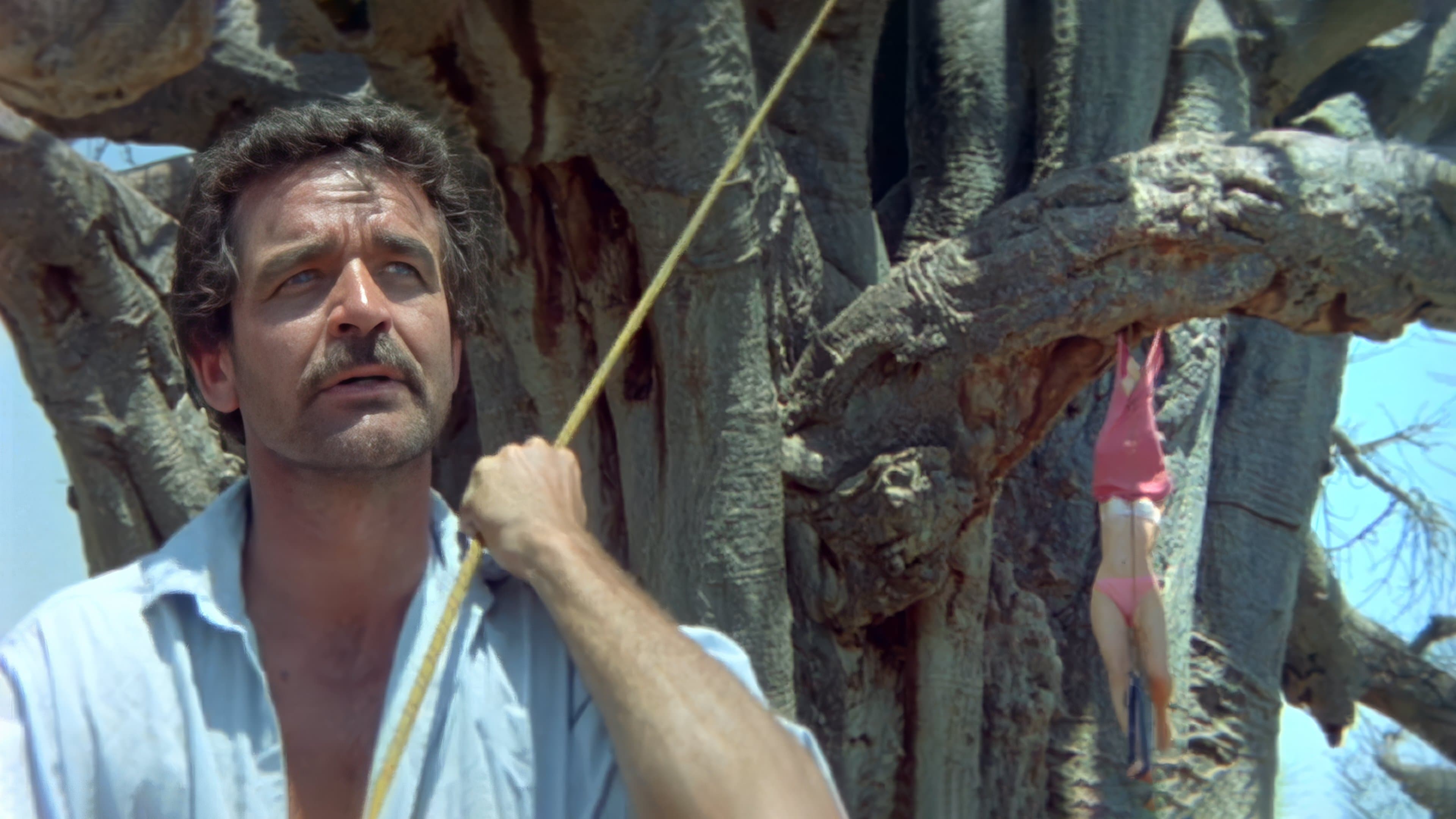 Gudene må være gale 2