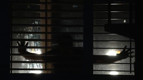 Spread: Pigs to Slaughter