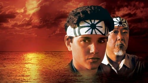 Karate Kid - Sannhetens øyeblikk
