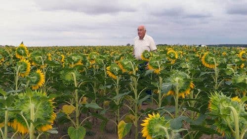 Beau comme un tracteur