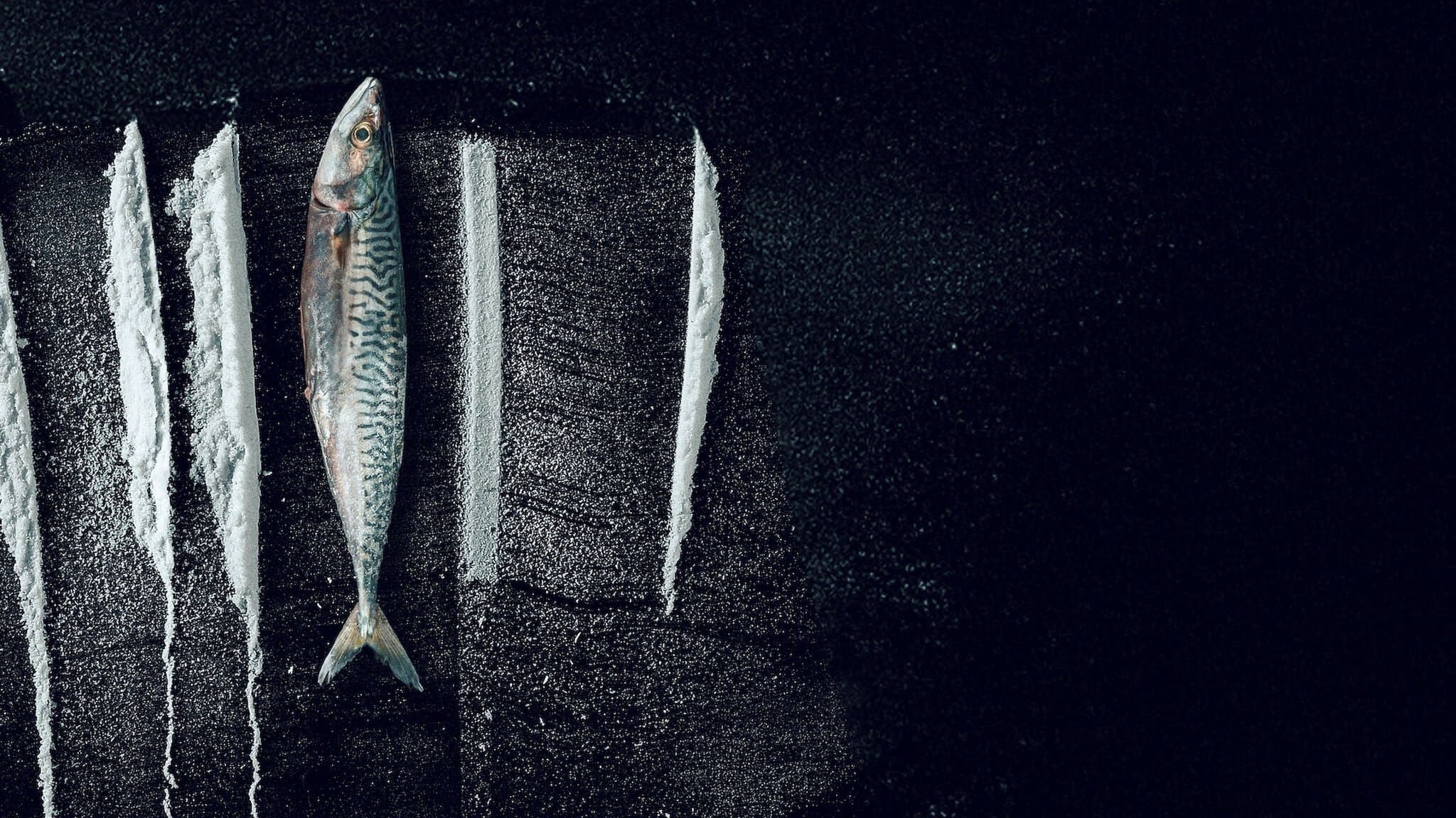 Den største fisken: den utrolige historien om Rabo de Peixe