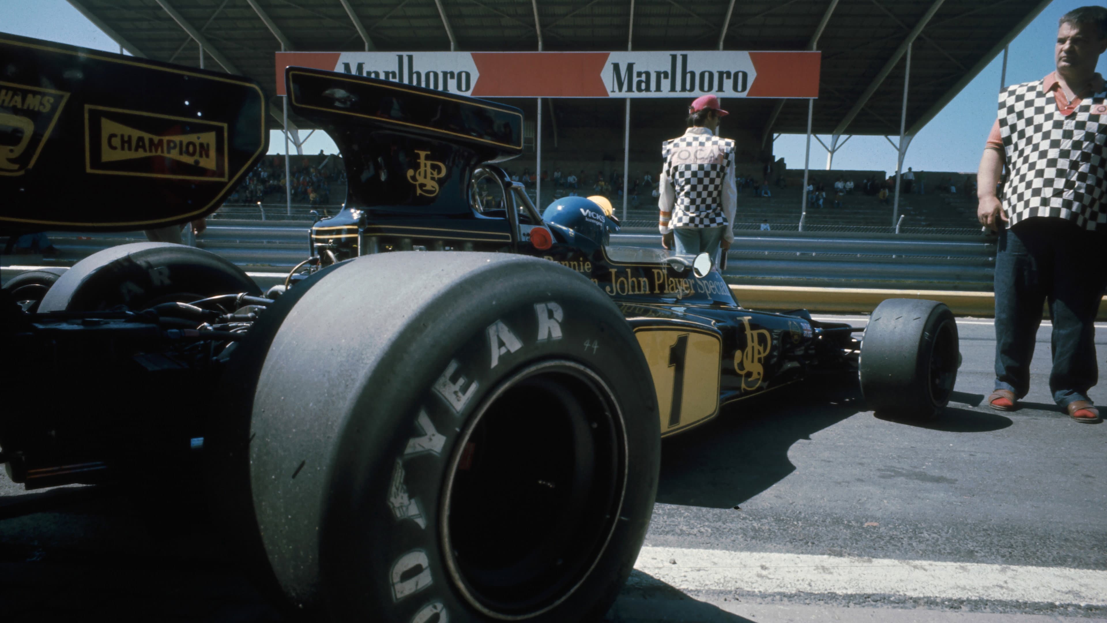Superswede: En film om Ronnie Peterson